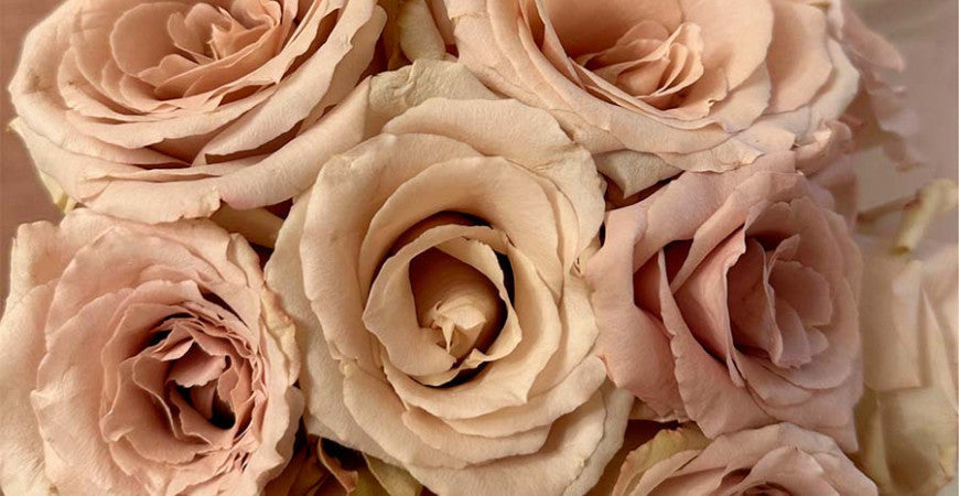 Tips para elegir tu vestido de novia ideal